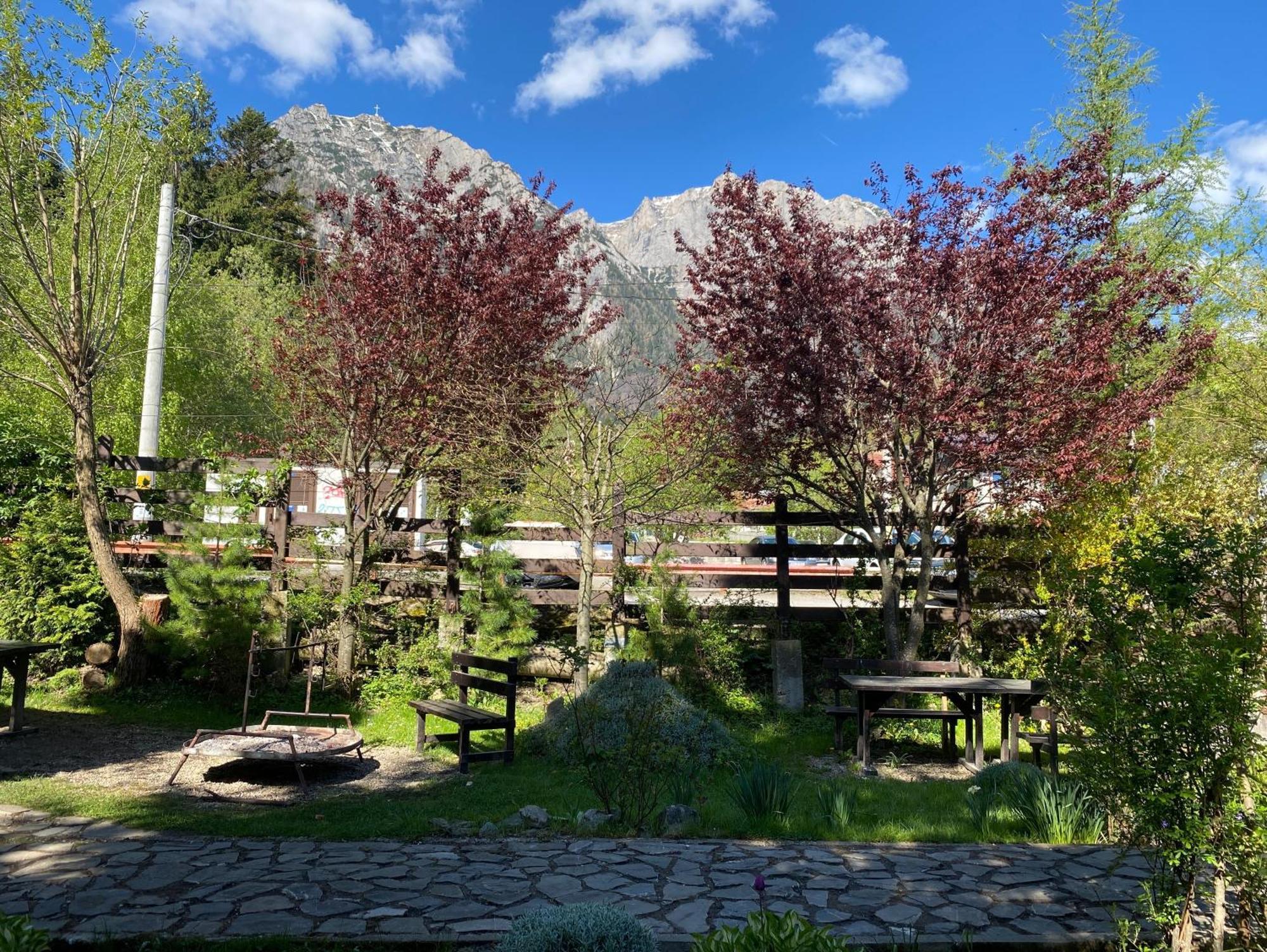 Apartament Pensiunea Liziera Busteni Luaran gambar